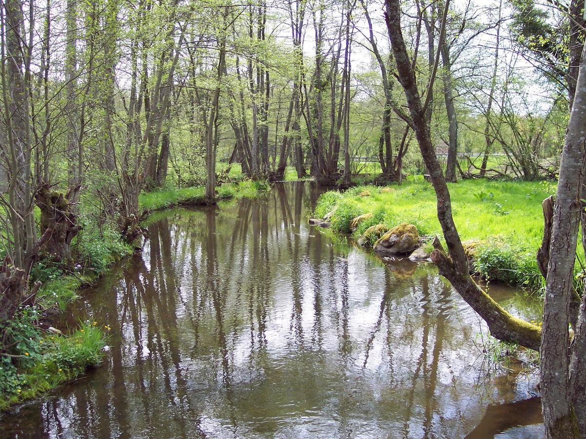 La Vieille Auberge Du Lac Saint-Agnan  Εξωτερικό φωτογραφία